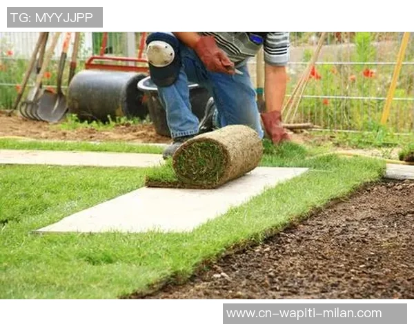 曾引起争议，西安国际足球中心草坪已从头铺设，下一年3月合格